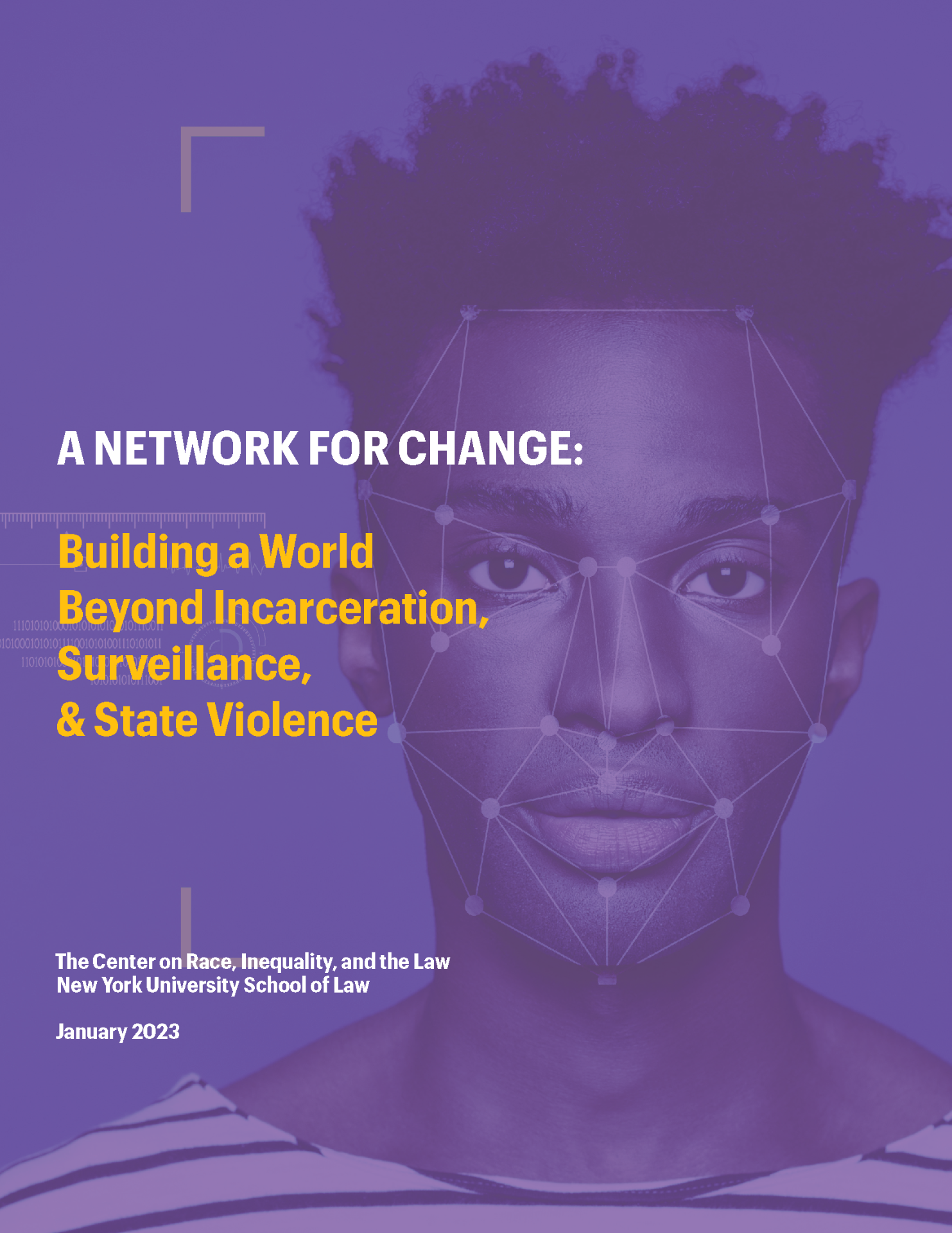 Center on Race, Inequality, & the Law (NYU Law) — Network for Change Landscape Analysis